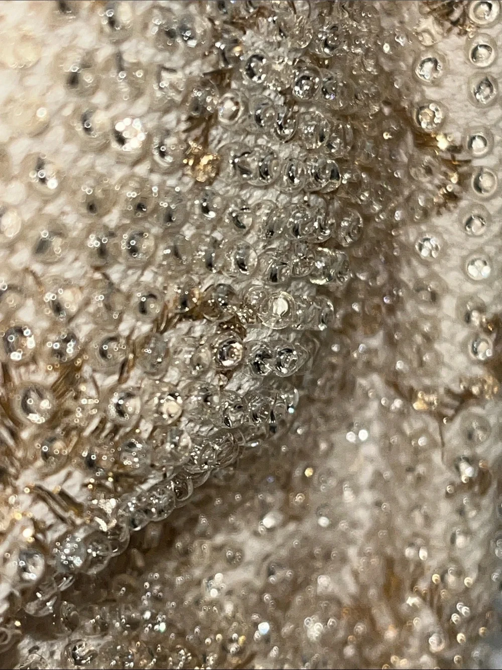 Source Unknown Ivory and Gold Beaded Evening Clutch